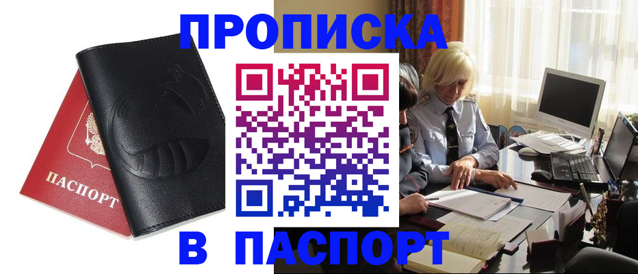 временная регистрация поиск в Щёлково